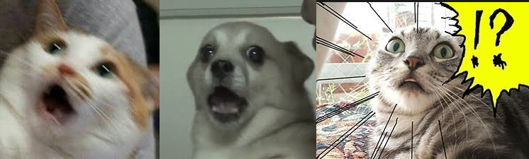 새 컴포넌트를 받지 않는다는 답변을 확인한 순간